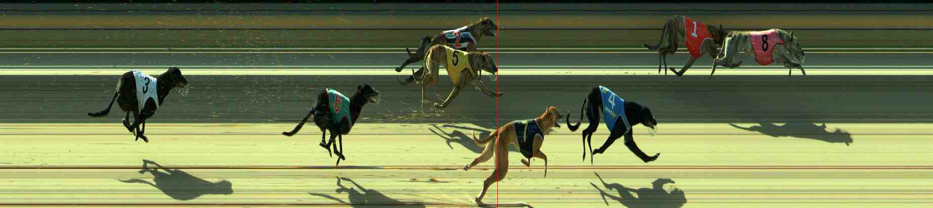 Race result finish photo